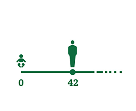 Timeline icon representing average age people begin to experience presbyopia symptoms (42 yrs)